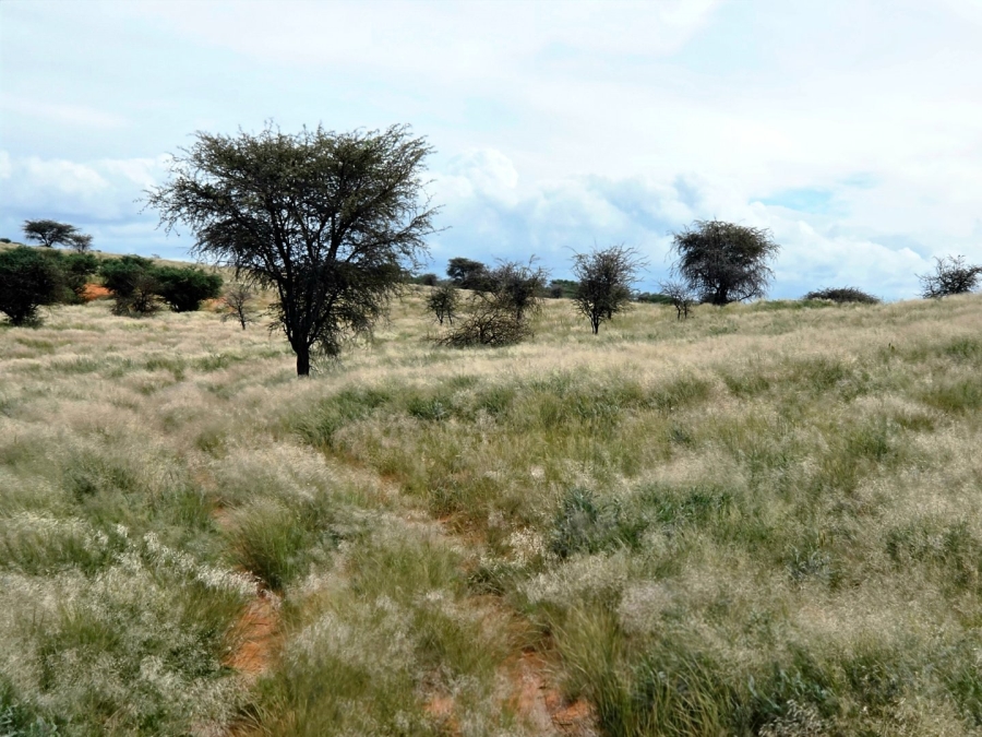 Commercial Property for Sale in Griekwastad Rural Northern Cape